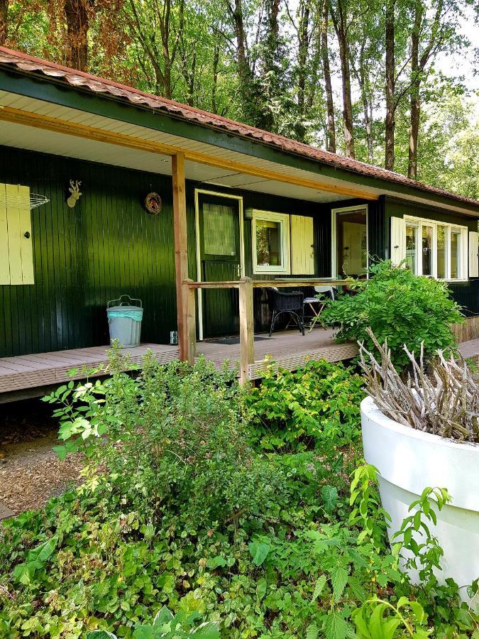De Flierefluiter Villa Nutter Kültér fotó
